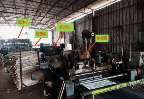 工人卷入齒輥遭輾壓身亡,雷州市英利鎮(zhèn)匯利木制品廠1 2事故查明