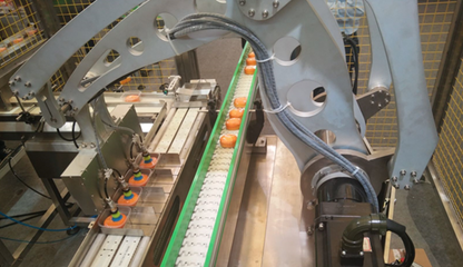 輕工業(yè)營收突破16萬億，驅(qū)動(dòng)食品機(jī)械行業(yè)邁向高質(zhì)量發(fā)展